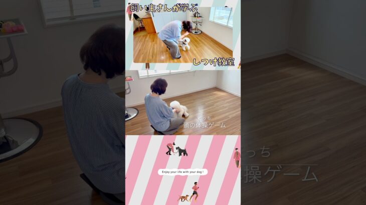 【しつけ教室】ココくん、初級編ラストに挑戦！飼い主さんの驚きのひと言とは？
