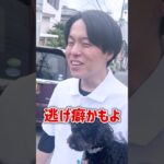 【犬しつけ】リードから逃げる犬には呼び戻し！