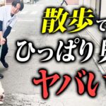 【犬しつけ】散歩の激ひっぱり、興奮、ひろい食いをプロドッグトレーナーがガチ改善