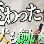 【犬のしつけ】どうやって愛犬と飼い主が変わっていくのかを教えます