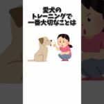 愛犬のトレーニングで一番大切なこと #犬 #犬のしつけ #犬のトレーニング