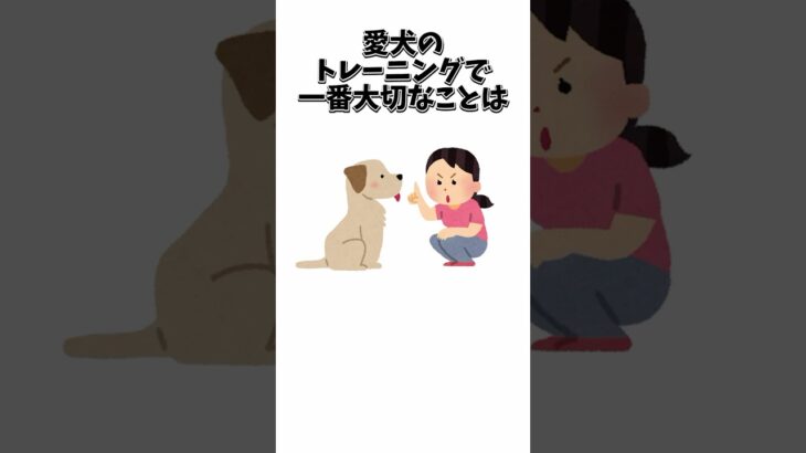 愛犬のトレーニングで一番大切なこと #犬 #犬のしつけ #犬のトレーニング