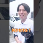 【犬しつけ】ご飯で過剰に興奮する犬のしつけ方法は？