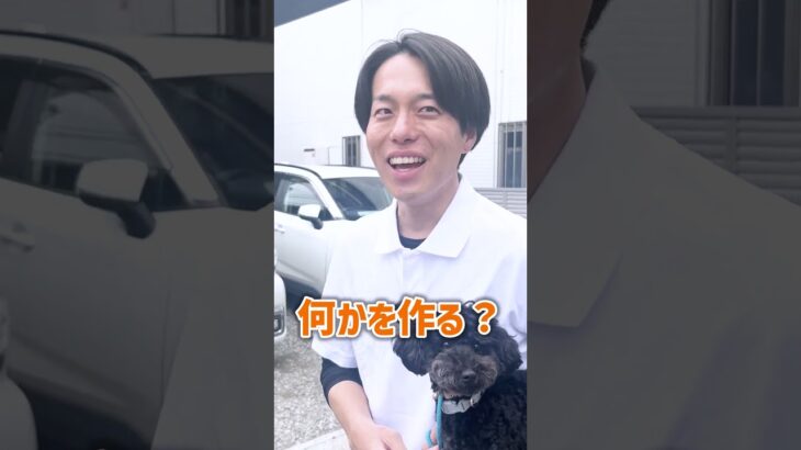 【犬しつけ】ご飯で過剰に興奮する犬のしつけ方法は？