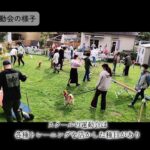 しつけの悩みが必ず直る／小田ドッグスクール(松戸・柏)