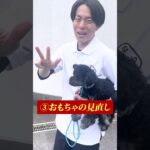 【犬しつけ】子犬の特有の甘噛み対処方法！