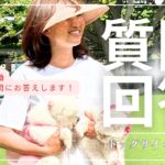 犬の問題行動リハビリトレーニング　みんなの質問に回答