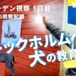 【スウェーデン】ストックホルムで犬の教育現場を見学！到着初日の視察記録