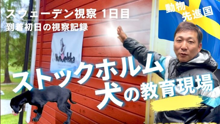 【スウェーデン】ストックホルムで犬の教育現場を見学！到着初日の視察記録