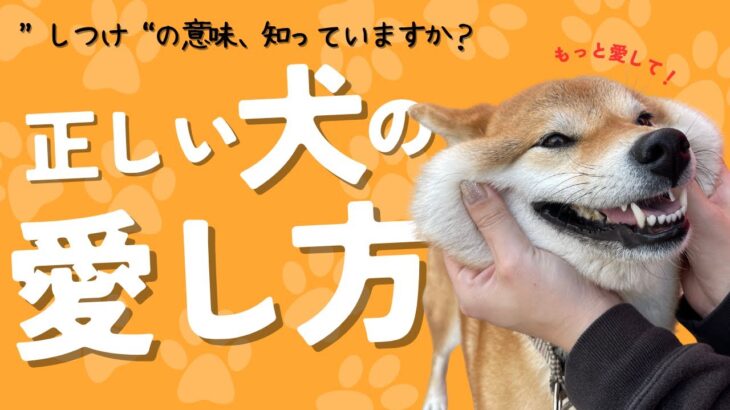 あなたは知ってる？犬の愛し方！