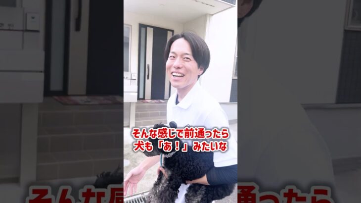 【犬しつけ】愛犬が本能的に動くときは？