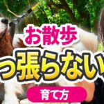 【実践】引っ張らない、吠えない犬になる育て方をご紹介！