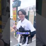 【犬しつけ】特定の家族に吠える場合の対応