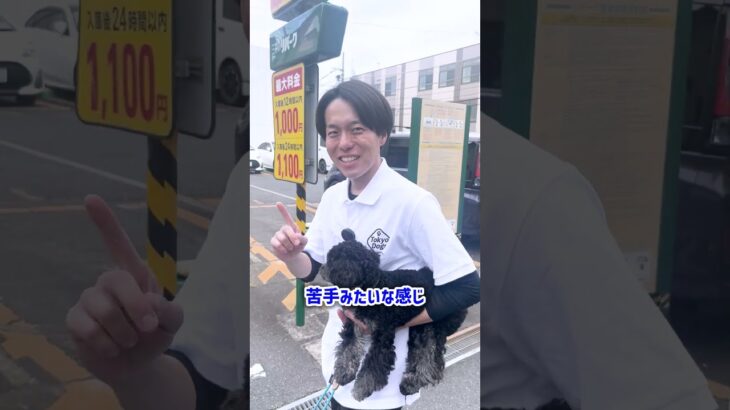 【犬しつけ】特定の家族に吠える場合の対応
