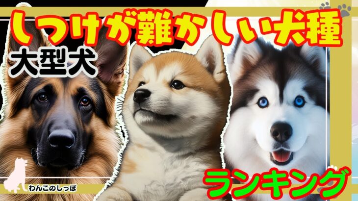 【ランキング】しつけが難かしい大型犬　こんなに可愛いのに躾は激ムズ！