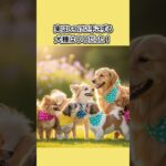 【犬学百科】実はしつけに手こずる犬種は〇〇だった！ #犬の雑学 #犬のいる生活 #犬のいる暮らし