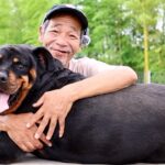 【ドッグトレーニング】スキルアップはコレやってください！