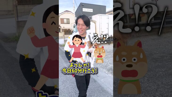 【犬しつけ】散歩が初めての愛犬に何すればいい?