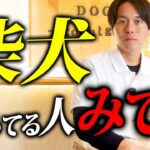 【現場の声】柴犬ってどんな犬種？プロドッグトレーナーが特徴と飼い方を解説