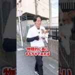 【犬しつけ】興奮嚙みにはこのおもちゃ！