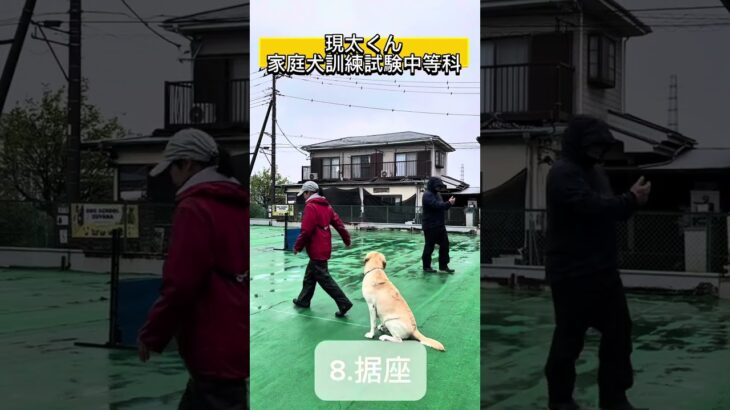現太くん家庭犬訓練試験　中等科