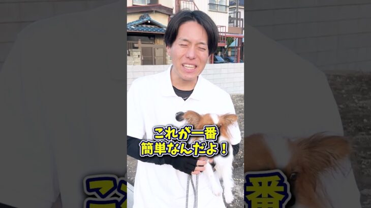 【犬しつけ】子どもに吠える愛犬！どうすればいい?