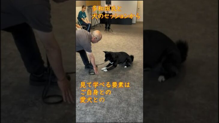 盲導犬クイールの訓練士　多和田悟氏とピーナッツちゃんの特別セッション！