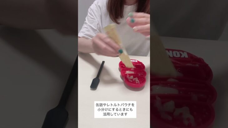 #いぬ #病院慣れ #知育トイ #犬のしつけ