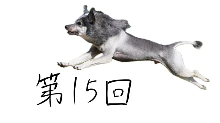 【犬のしつけ】肥満のリスク