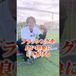 【犬しつけ】家でブラッシングする時のコツは？