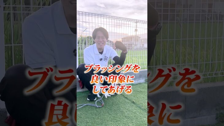 【犬しつけ】家でブラッシングする時のコツは？