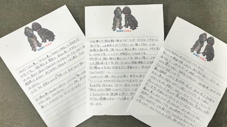 【感動】感謝の手紙が届きました！ 信じて頑張って頂きありがとうございます