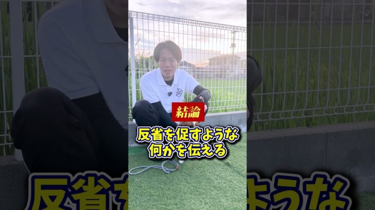 【犬しつけ】愛犬にダメなことを教えるには？