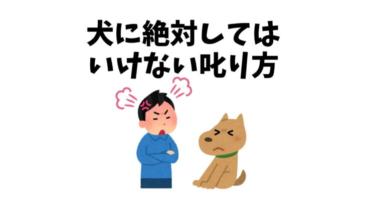 昔のしつけ、今は逆効果