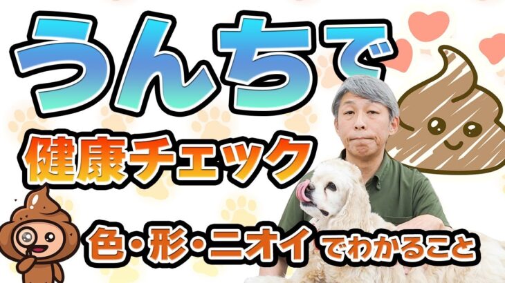 犬のうんちで健康チェック！見逃すな💩色・形・におい完全ガイド