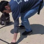 犬の幼稚園 ペペくんとトレーニング