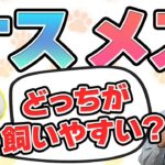犬を飼うならオス？メス？男の子と女の子の違いについてドッグトレーナーが解説【犬のしつけ】
