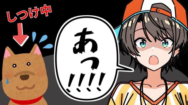 【驚愕】犬のしつけで圧をかけるスバル、みこちのいぬちと真逆すぎた件【ホロライブ/切り抜き/大空スバル】