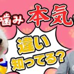 【犬のしつけ】犬が噛む理由とは？甘噛みと本気噛みの違いと対処法