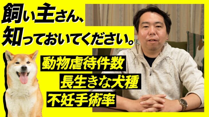 【犬のしつけ】にまつわる意外な統計！！