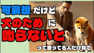 【噛み犬専門トレーナーが暴露】可哀想だけど叱らないといけないのは間違いだから辞めて！　#しつけ#トレーニング#噛み