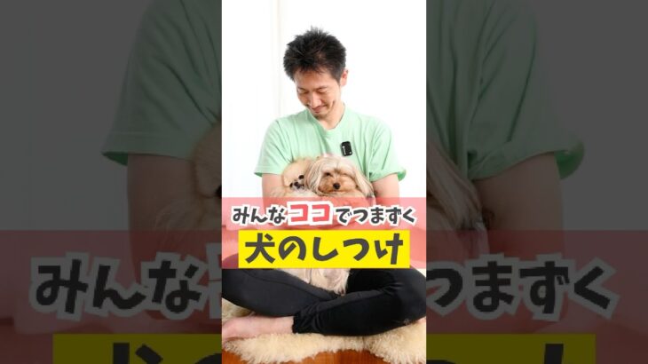 犬のしつけで1番難しいのはコレ！#犬のいる暮らし #dog #shorts