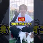 【犬しつけ】トイレトレーニングを成功させる2つのコツとは