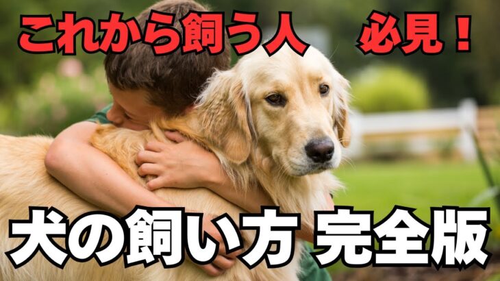 【2025年最新版】犬の飼い方 完全マニュアル｜初心者でも安心の準備・しつけ・健康管理まで徹底解説