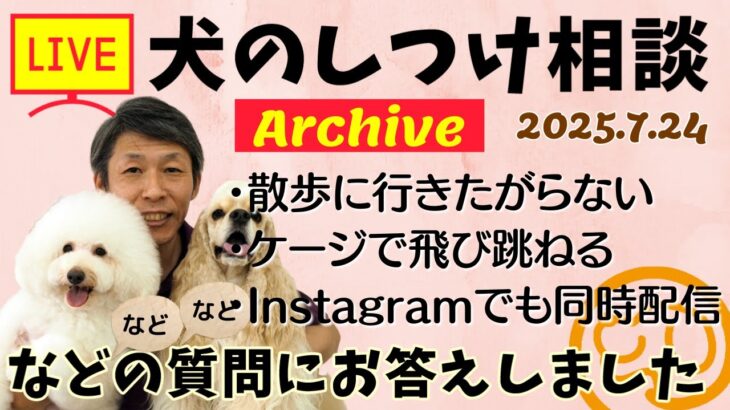 犬のしつけ相談ライブ☆ゲリラライブ【アーカイブ 2025/07/24】