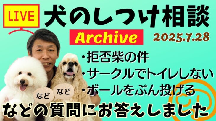 犬のしつけ相談ライブ☆ゲリラライブ【アーカイブ 2025/07/28】