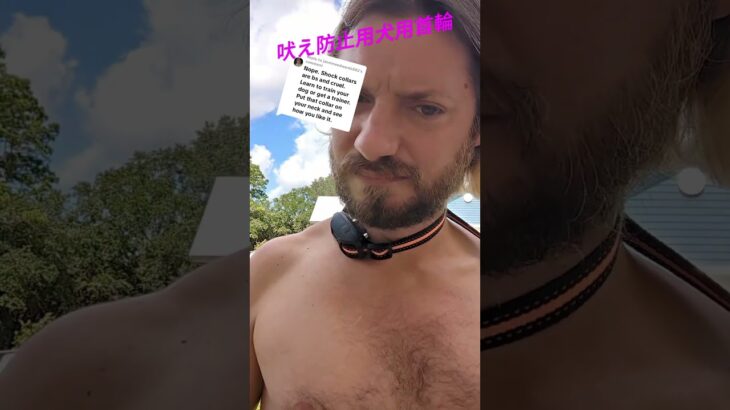 散歩の敵「吠える犬」から解放！28フィート長距離対応の2-in-1しつけツール   #犬散歩 #dogs #dogbark #dogtraining #dogbarkingsounds #犬好き