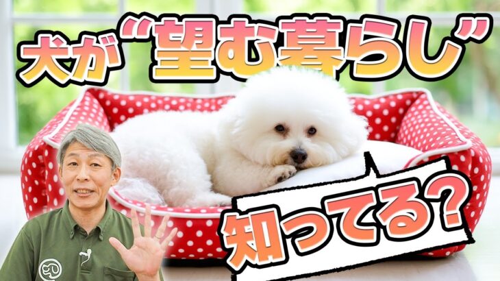 犬が本当に望む暮らしとは？5つの幸せポイント【犬のしつけ】