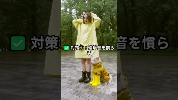 【犬の無駄吠え対策】今日からできる5つのしつけ法｜吠えグセがピタッと止まる方法を解説！