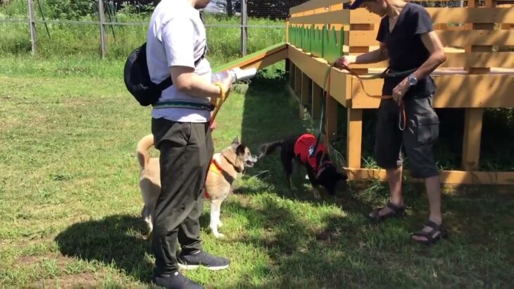 第5回　HOKKAIDOしっぽの会犬のしつけ教室